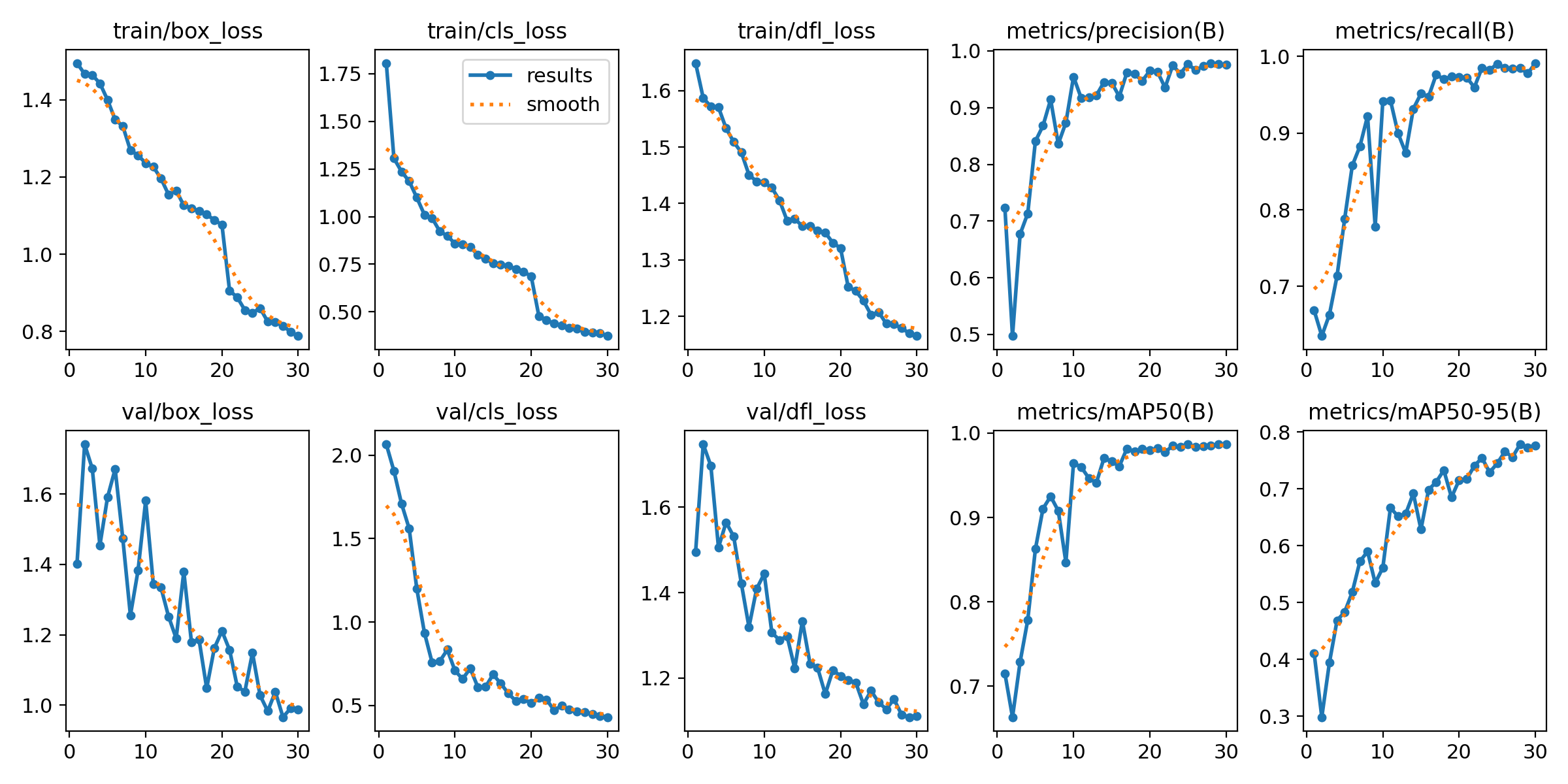 Training and Validation Loss/Metrics Curves